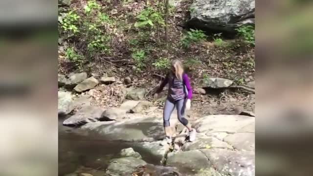 compilation of very funny and curious videos