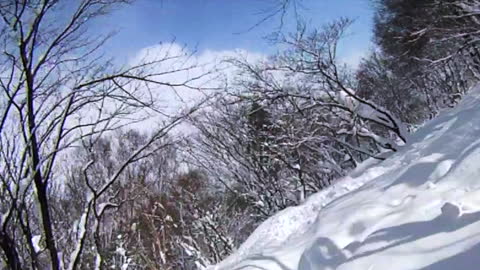 SOUL TREES SKI JAPAN