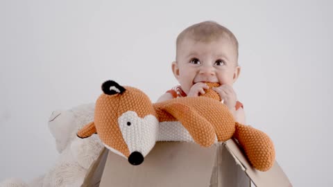 Portrait of a baby with teddies