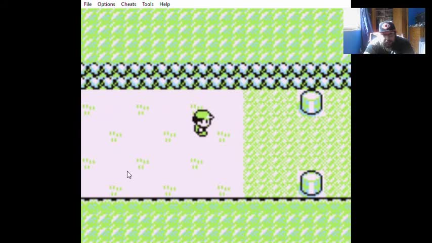 Let's Play Pokemon Red - Episode 3 - Song of Jigglypuff