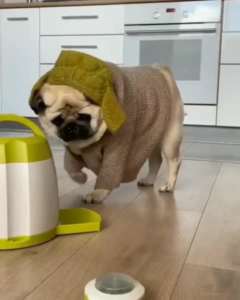 Your new technologies overcame me. 😂😂😂