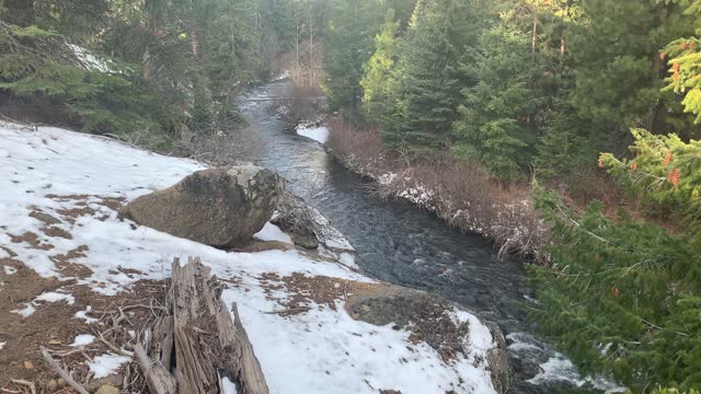 Deschutes National Forest Overlooking Whychus Creek Canyon – Central Oregon