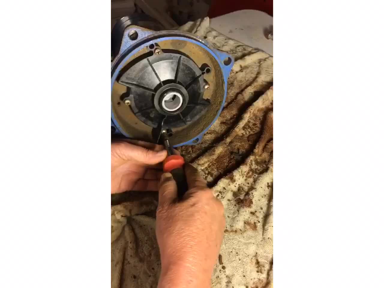 Gould Jo5 Shallow well Water Pump Rebuild