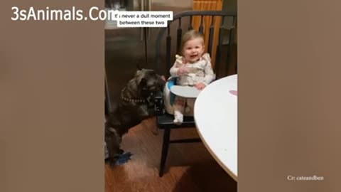ENGLISH BULLDOGS & the KIDs - Cutest video compilation about English Bulldogs ...