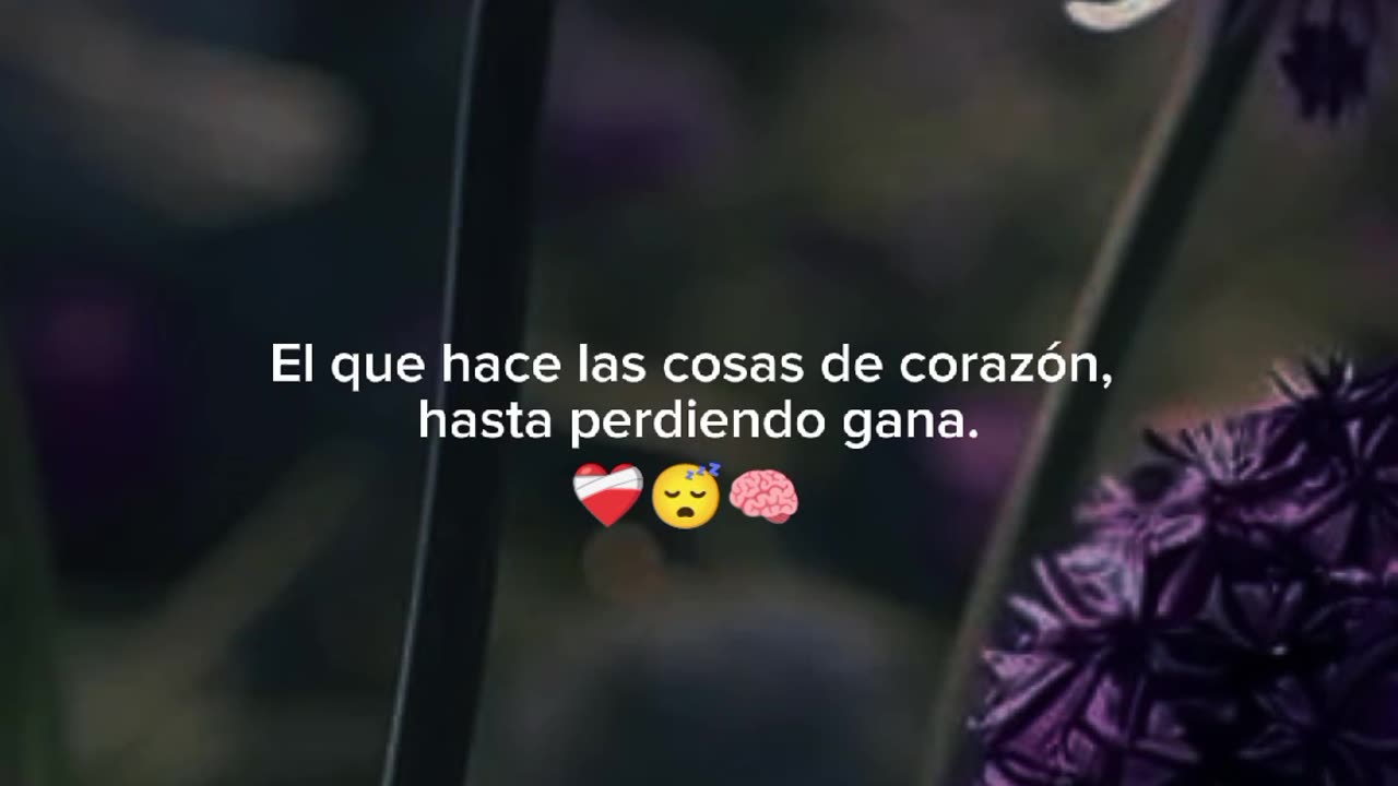 Frases motivación 🌛✨