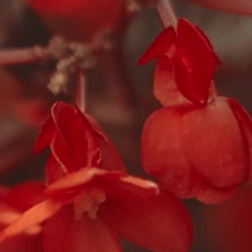 Take a Break: Discover How Relaxing This is! Volume 112