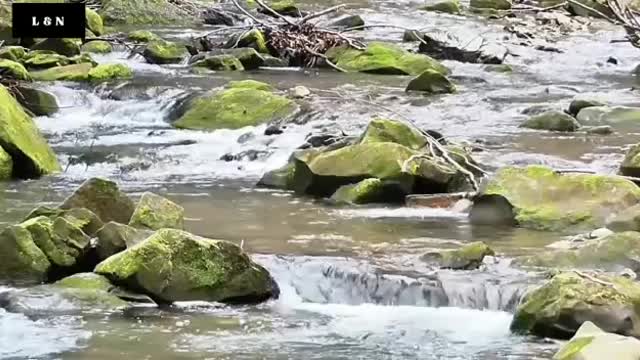 flow water | mind relaxing