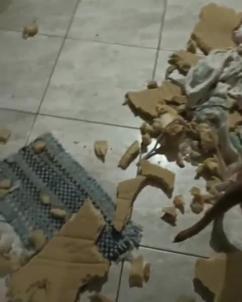 more than a dog taken, is yours also like this?