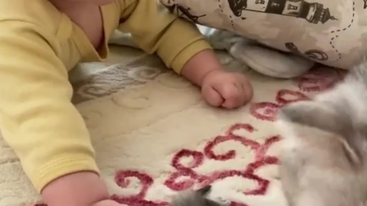 A baby play with a cat 😘😘