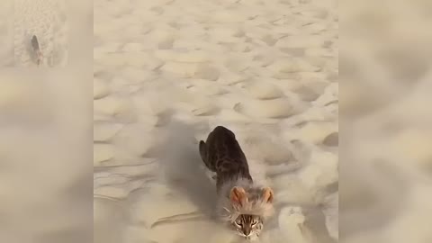Happy on the beach