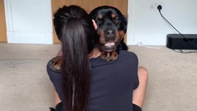 Cute and funny dog video