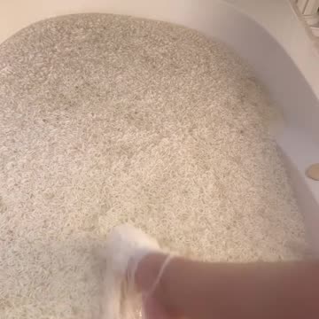 Bathtub Full Of Ramen!