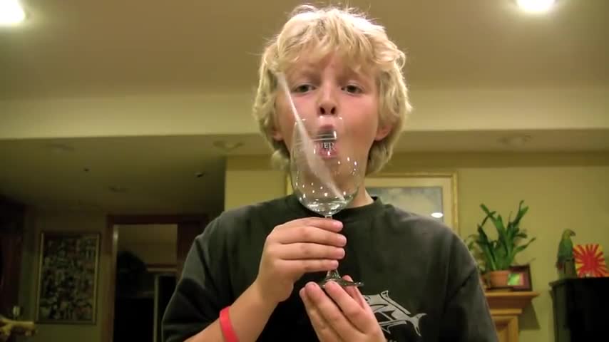 How to break a wine glass by your voice