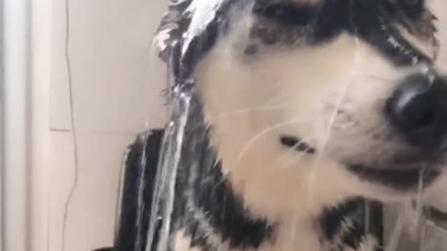 Enjoy taking a bath