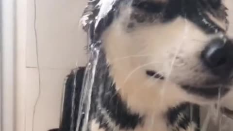 Enjoy taking a bath
