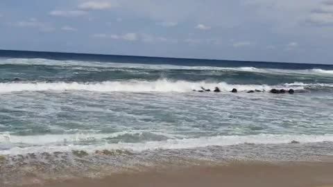 The waves of the sea in Gangwon-do, Korea