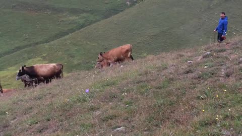 YAYLA TEPESİ