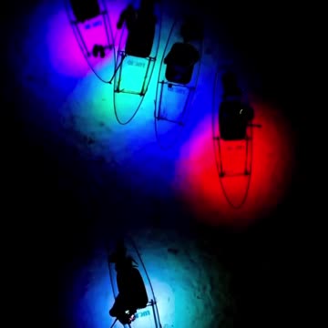 Night Natural Glow Tours - Rainbow Springs - Florida