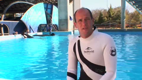 Sea World Commercial