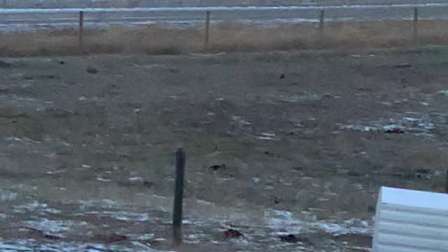 Unstoppable Hay Bales Caused by High Winds