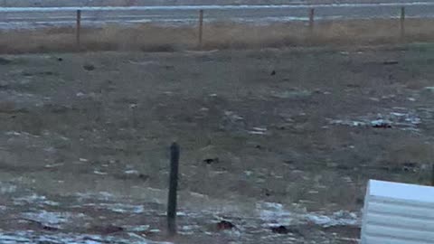 Unstoppable Hay Bales Caused by High Winds