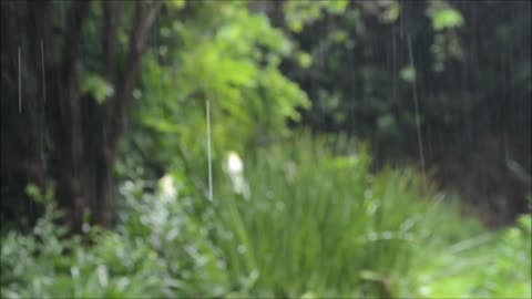 Som de Chuva Para Relaxar e Dormir