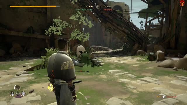 Absolver : Owl Of Death - Just Duck