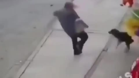 😂😂Instant Karma With Old Man Trying To Beating A Dog...