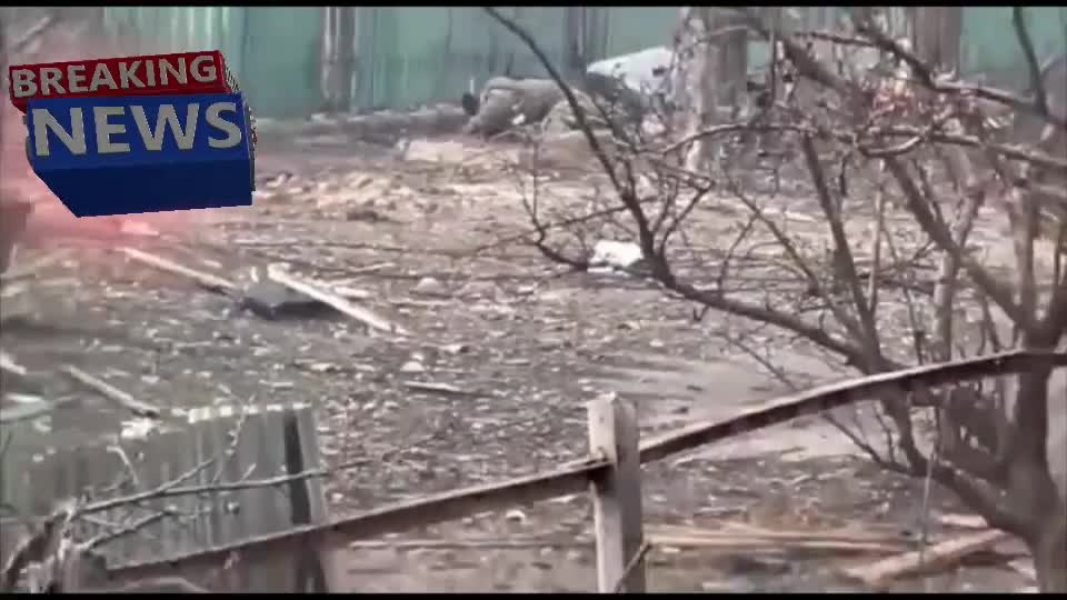 Chechen Republic are walking over the corpses of the Nazis