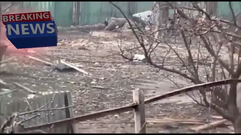 Chechen Republic are walking over the corpses of the Nazis