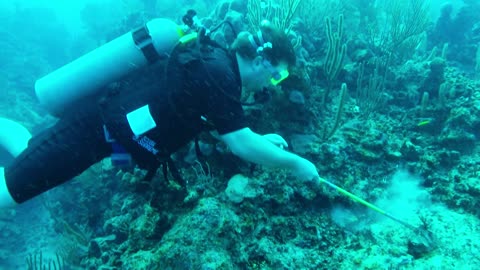 Two Young Brothers Hunt a Destructive ocean Predator