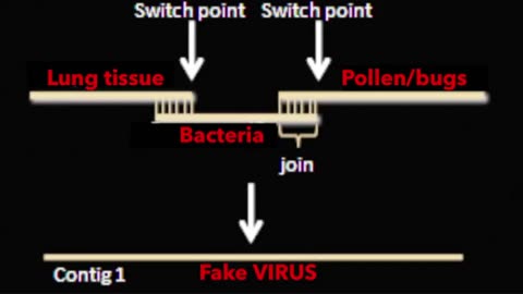 A FAREWELL TO VIROLOGY (PART 2) - Spacebusters