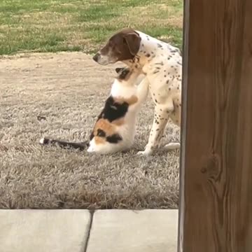 Love like no other 😊😊