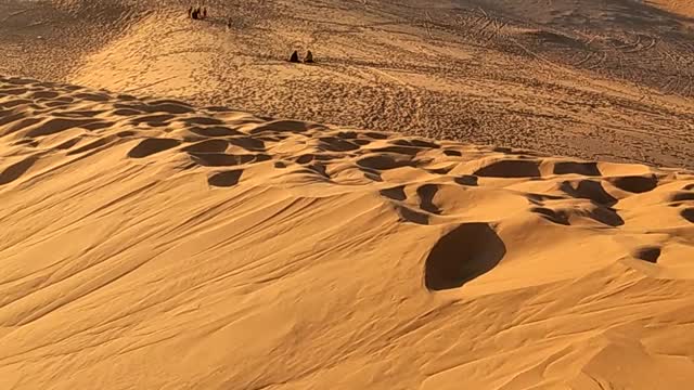 Video in The desert of Algeria the big 2million km² in Africa