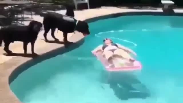 We also want to swim together
