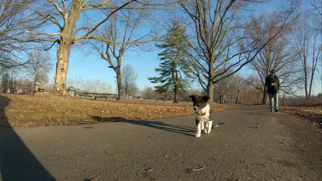 Luna going home