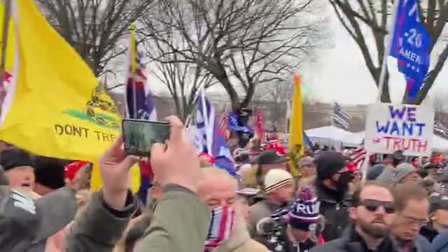 MAGA Rally stop the steal