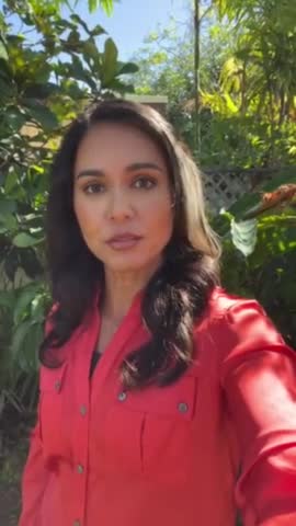 Tulsi Gabbard SLAMS Government For Not Protecting Innocent People During Kenosha Riots