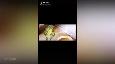 Hilarious video compilation