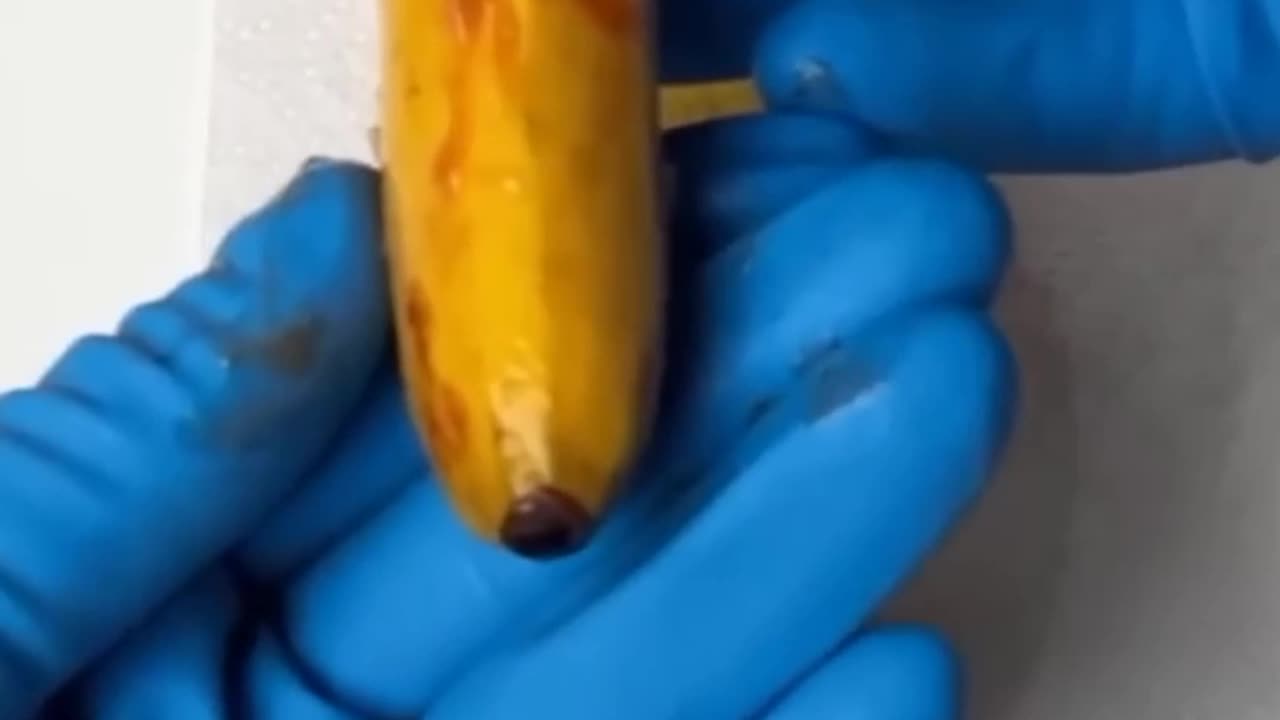 BANANA GIVING BIRTH 😓