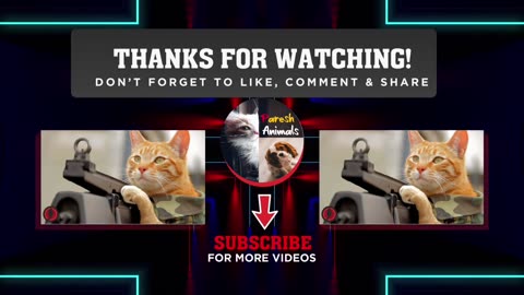 AWW!!!!Funny Cat Videos Compilation #8 Best Of The 2024 Animal Videos