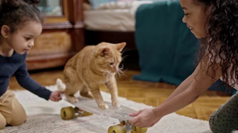 Kids Playing With A Cute Cat