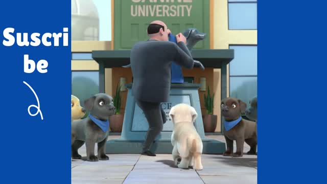 Pip A Short Animated Film by Southeastern Guide Dogs