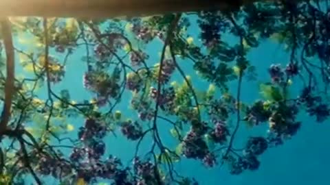 Relaxing Music | Sleeping, Meditation, Stress Relief | [1536] ⭐️