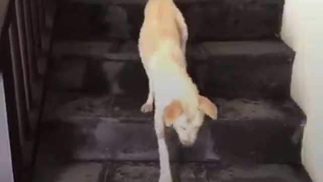 Quando a viu, não sabia se ela estava viva