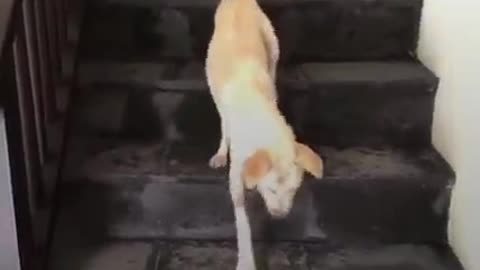 Quando a viu, não sabia se ela estava viva