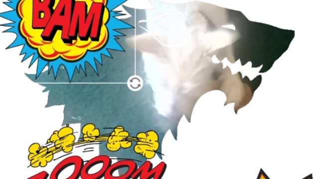 afternoon video