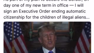 Mr T - Border & Ending Citizenship