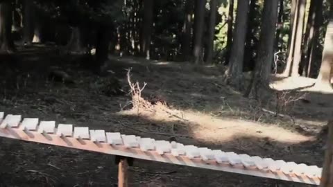 Enormous xylophone in the woods of Kyushu, Japan