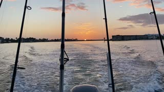 Wake, Fish, Repeat!